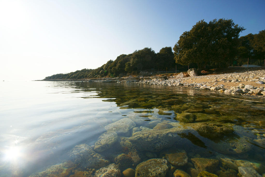 Guest House Robert I Mirna Bale Εξωτερικό φωτογραφία