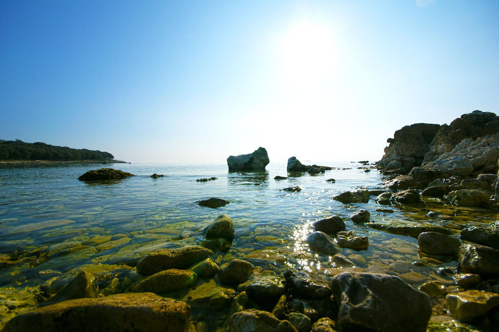 Guest House Robert I Mirna Bale Εξωτερικό φωτογραφία